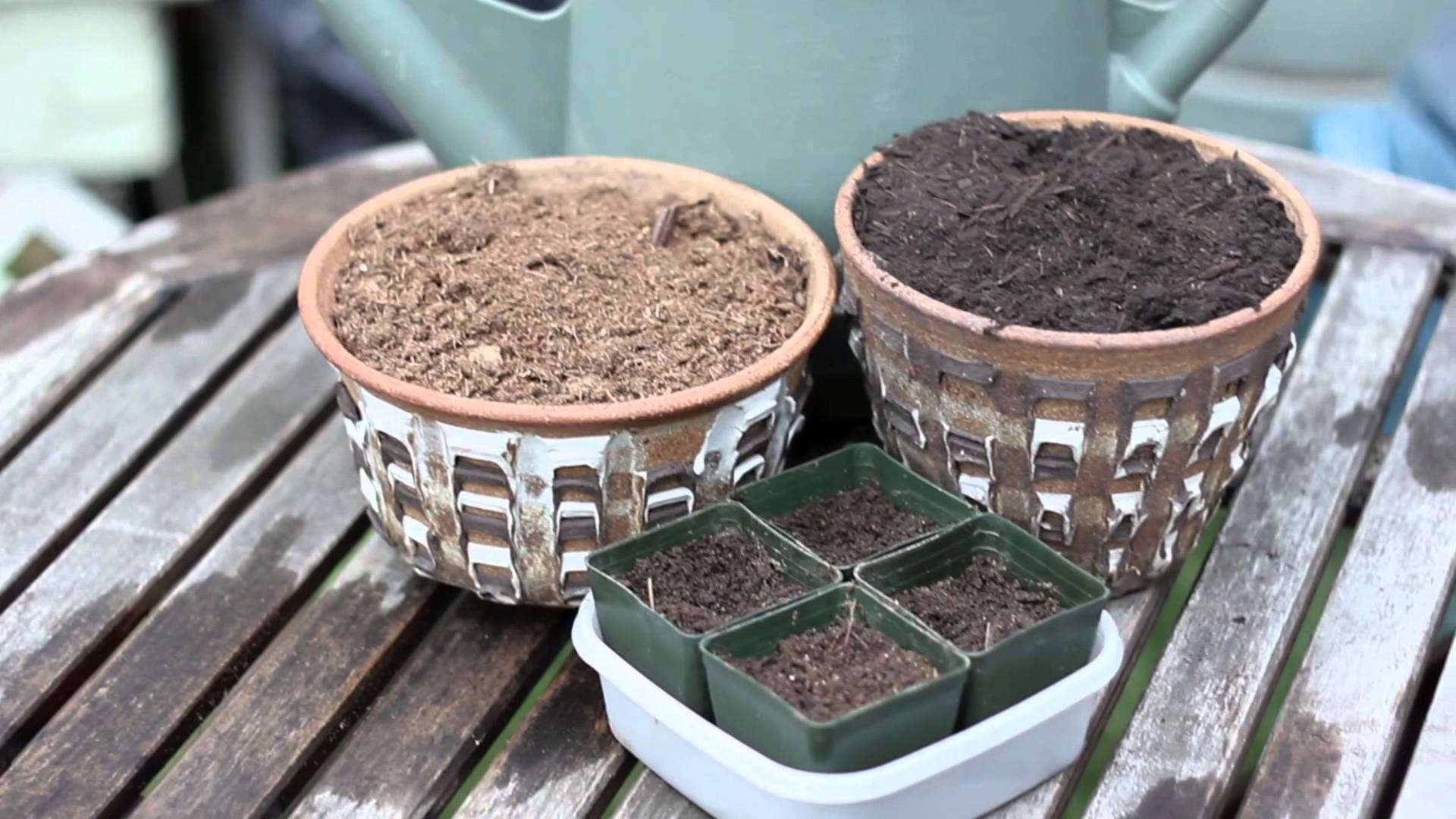 Marie Bolton Learn about Homemade Fertilizers and Give Your Garden a